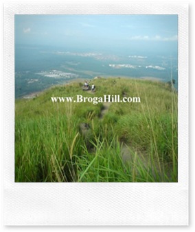 Broga-Hill